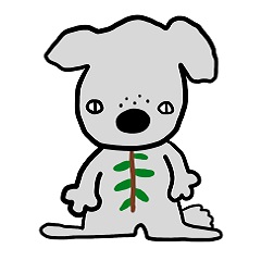 この動物は何でしょう？クイズ